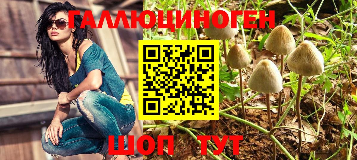 Каменск-Уральский  Галлюциногенные грибы Cubensis  Вход с VPN  Галлюциногенные грибы мухоморы 